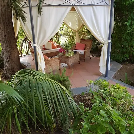 Mariella Pittorino - In 3*